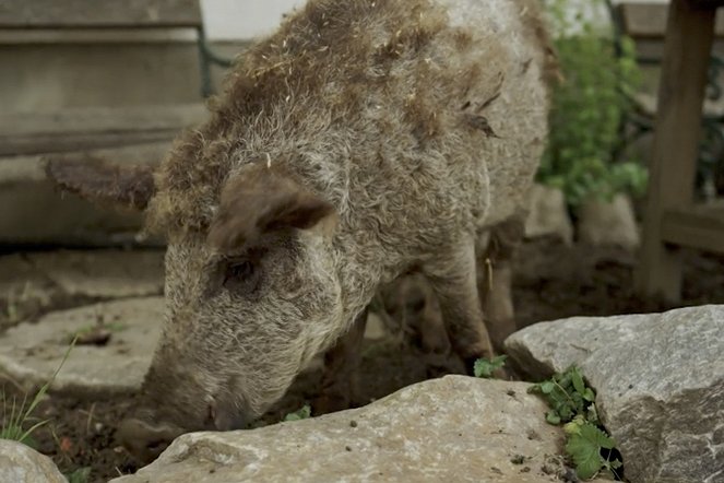 Heimatleuchten - Mit dem Rad von Salzburg nach Grado - Filmfotók