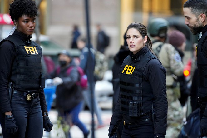 FBI: Special Crime Unit - Breakdown - Photos