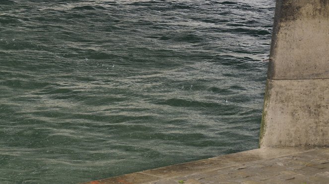 Quand la Seine débordera - Film