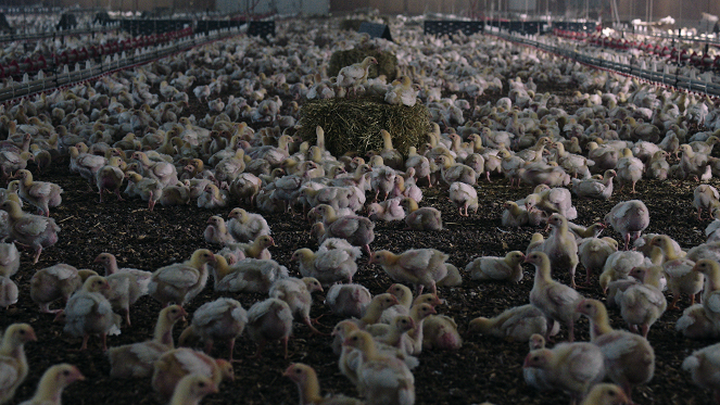Poisoned: The Danger in Our Food - Filmfotos