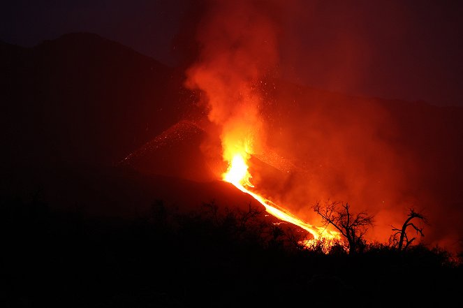 Of Lava and Life - The Volcano Eruption on La Palma - Photos