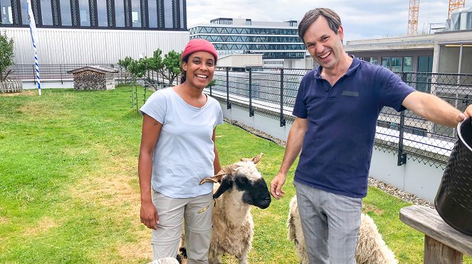 Pia und die wilde Natur - Die Schafe auf dem Gründach - Photos