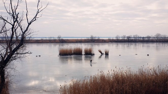 Tisza-tó, az ember alkotta paradicsom - De la película