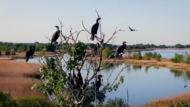 Tisza-tó, az ember alkotta paradicsom - Filmfotók