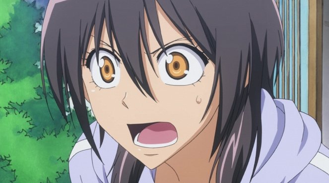 Maid Sama! - Soutane Kano of Class 1-7 - Photos