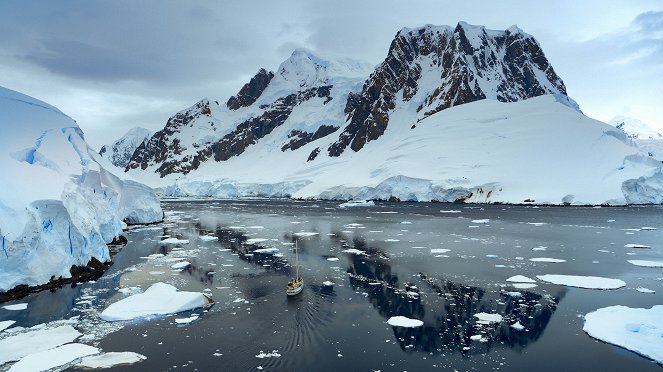Animals Up Close with Bertie Gregory - Antarctic Killer Waves - Filmfotos