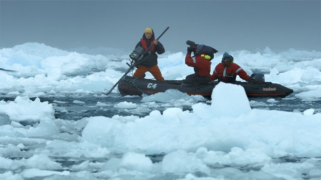 Au plus près des animaux avec Bertie Gregory - Les Vagues tueuses d’Antarctique - Film