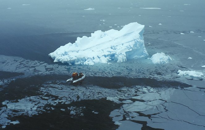 Zvířata zblízka s Bertiem Gregorym - Antarktické zabijácké vlny - Z filmu
