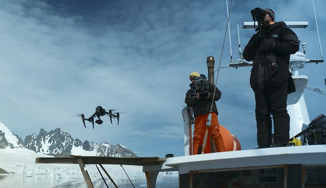 Animals Up Close with Bertie Gregory - Antarctic Killer Waves - De la película