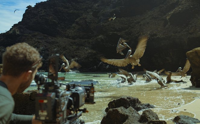 Au plus près des animaux avec Bertie Gregory - Les Merveilles des Galapagos - Film