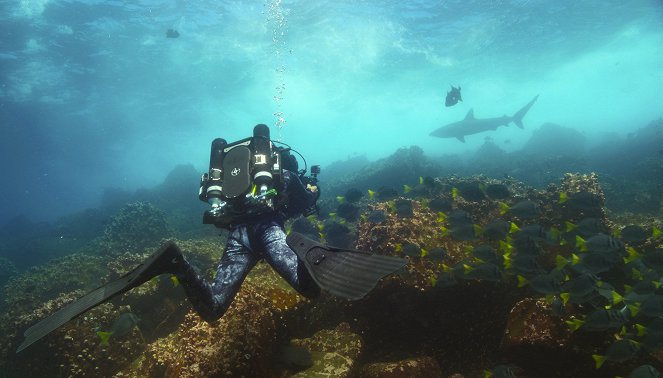 Animals Up Close with Bertie Gregory - Galapagos Marvels - Filmfotos