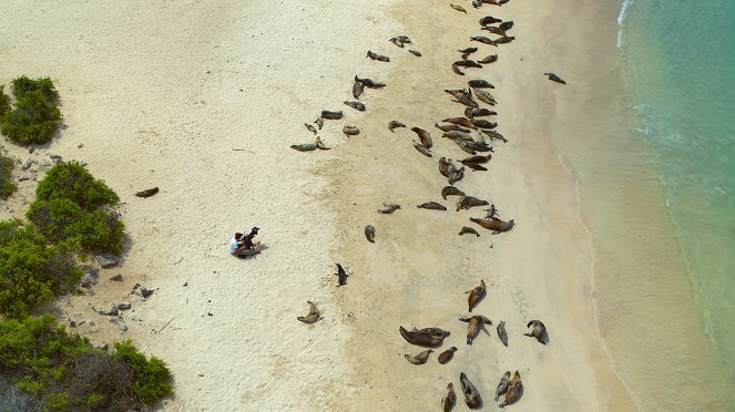 Animals Up Close with Bertie Gregory - Galapagos Marvels - Filmfotos