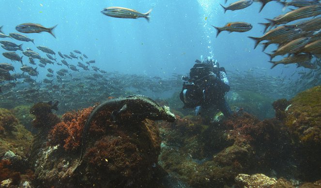 Animals Up Close with Bertie Gregory - Galapagos Marvels - Filmfotos