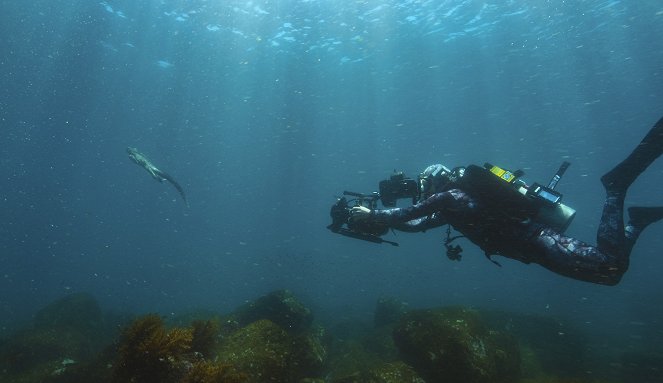 Zvířata zblízka s Bertiem Gregorym - Galapážské zázraky - Z filmu