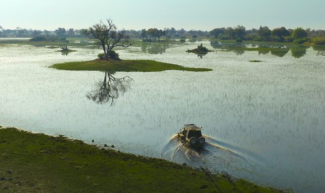 Zvířata zblízka s Bertiem Gregorym - Divocí psi z Botswany - Z filmu