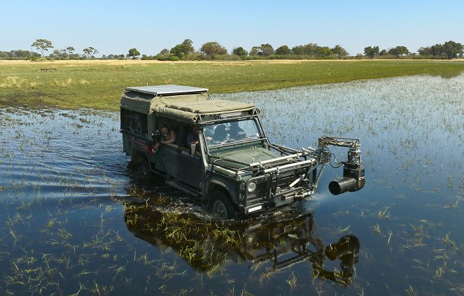 Animals Up Close with Bertie Gregory - Botswana Wild Dogs - Filmfotos