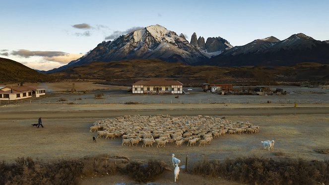 Zvířata zblízka s Bertiem Gregorym - Patagonská puma - Z filmu