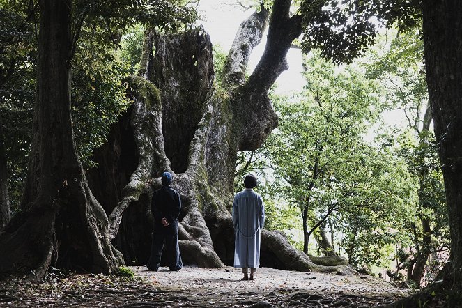 Midori no Zawameki - Photos