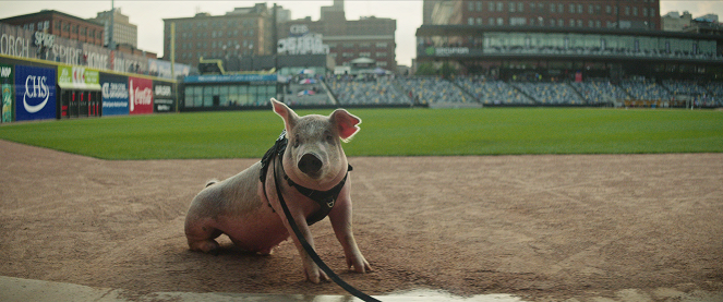 Secondes chances : Le Baseball, c'est sacré ! - Film