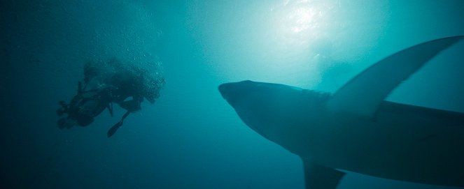 Deep Fear - Tauch um Dein Leben! - Filmfotos