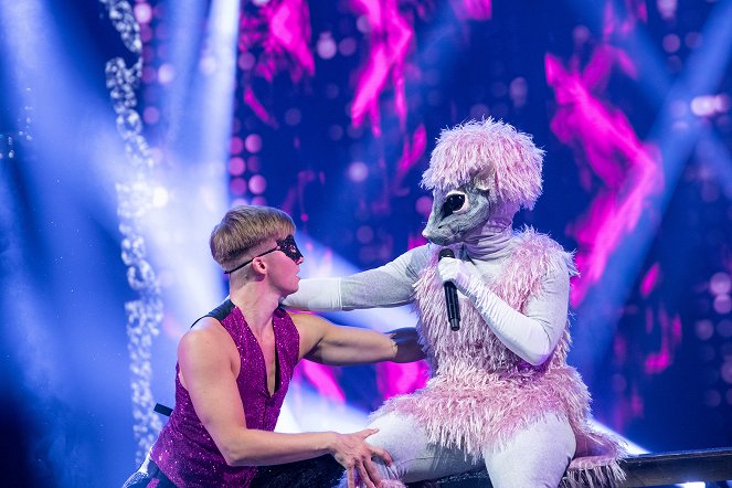 Masked Singer Suomi - Photos