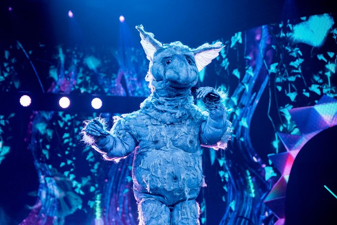 Masked Singer Suomi - Van film