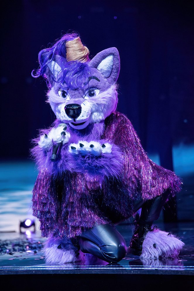 Masked Singer Suomi - Z filmu