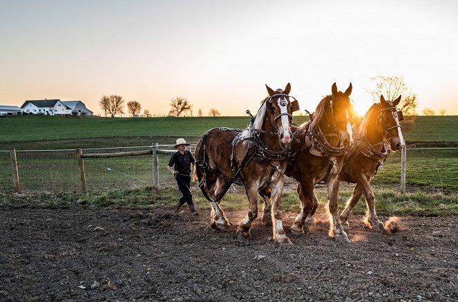 Das Leben der Amish - Z filmu