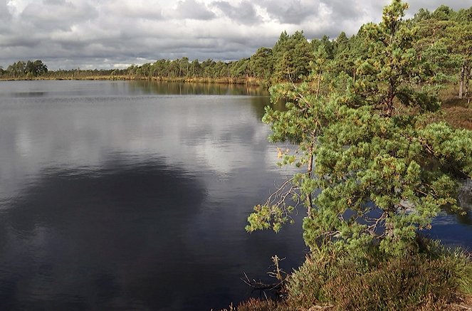 Nationalparks im Baltikum - Estland Nationalpark Soomaa - Filmfotos