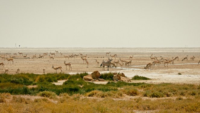 Kalahari: Land der geheimen Allianzen - Filmfotos