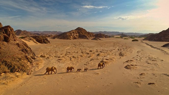 Kalahári: a titkos szövetségek földje - Filmfotók