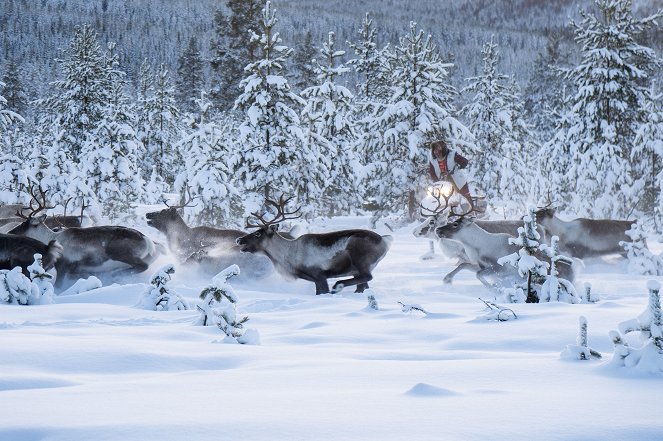 Wild Scandinavia - Filmfotók