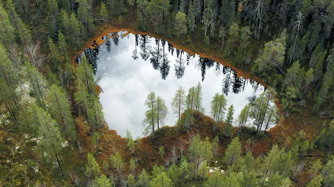 Wild Scandinavia - De la película