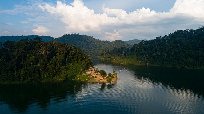 Malaysia's Last Tigers - Z filmu