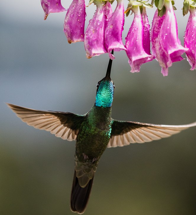 Der Kolibri-Effekt - Filmfotos
