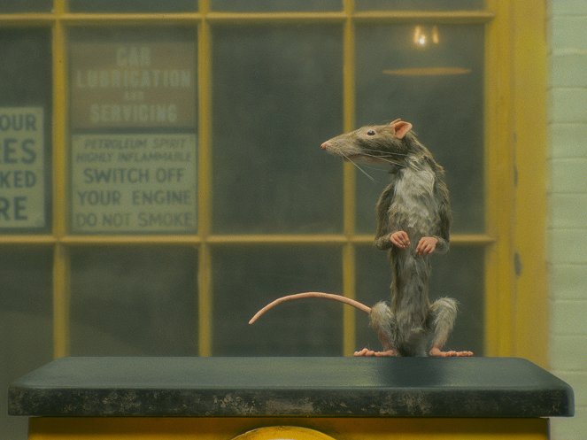 The Ratcatcher - De filmes