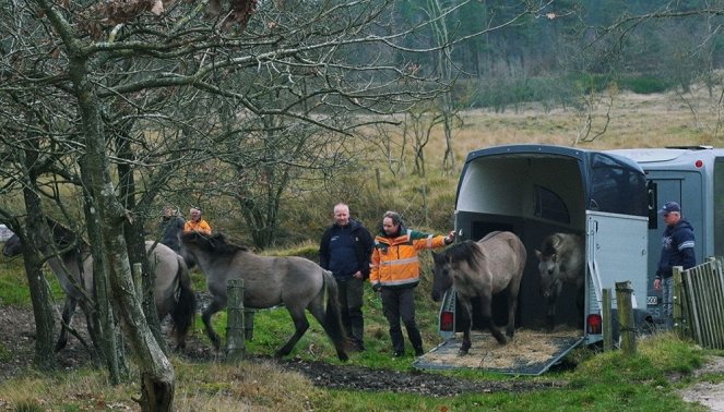 Organiseret vildskab - Filmfotos