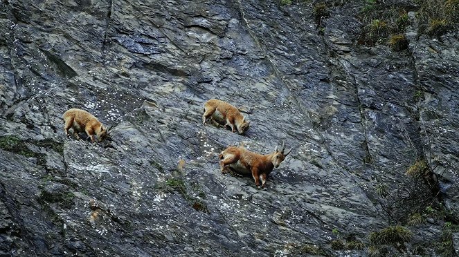 Universum: Arlberg - Wild und Weltberühmt - Filmfotos