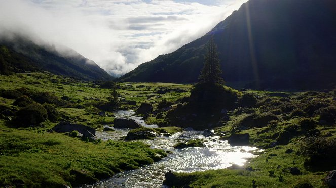 Universum: Arlberg - Wild und Weltberühmt - Van film