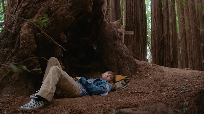 Avenue of the Giants - De la película