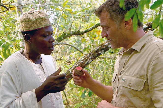 Médecines d'ailleurs - Cameroun - L'arbre antidouleur - De la película