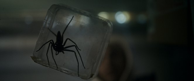 Spiders - Ihr Biss ist der Tod - Filmfotos