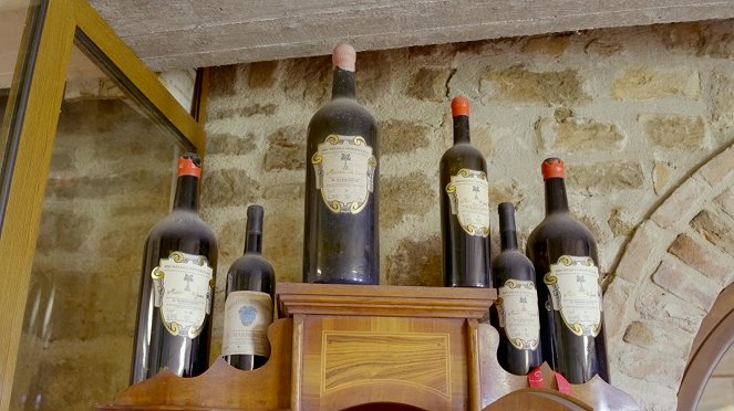 Milovníci vína - Víno, které pil Leonardo da Vinci - Filmfotos