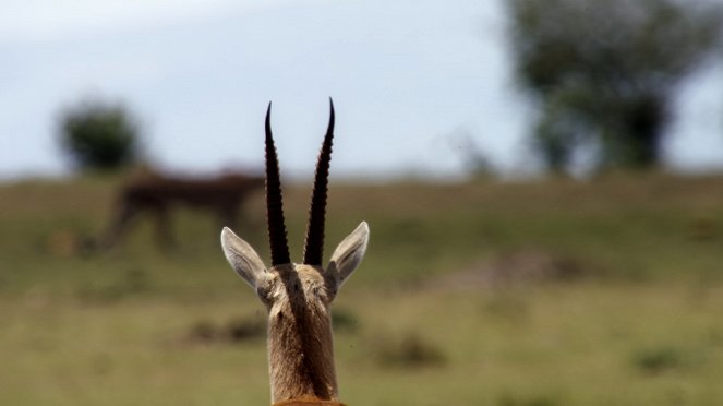 Nature's Ultimate Survivors - Photos