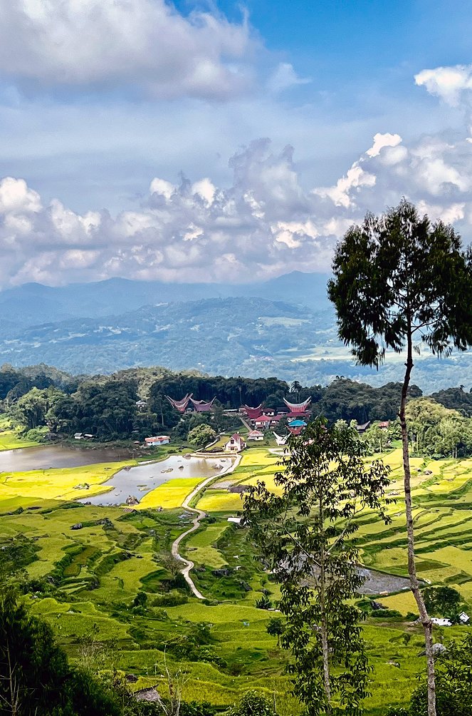 Sulawesi - Indonesiens geheimnisvolle Schönheit - Z filmu