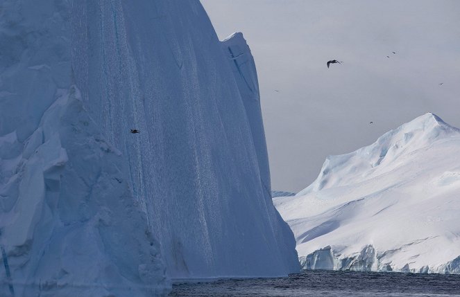 Europas hoher Norden - Grönland – Insel der Gletscher - De la película