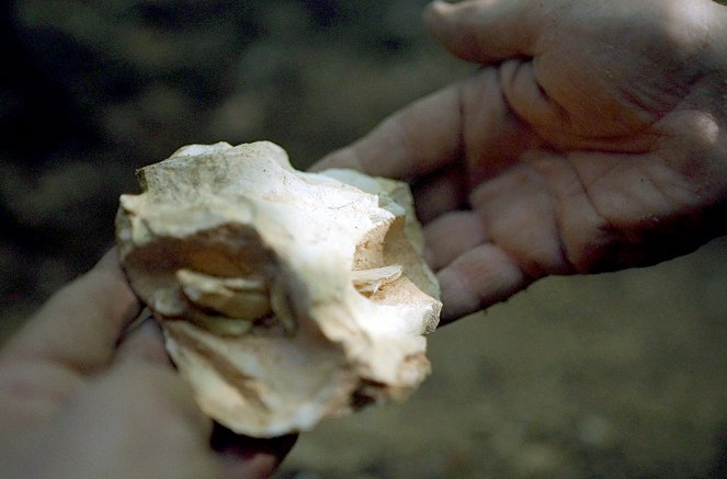 Der Neandertaler, erster Künstler der Menschheit? - Filmfotos