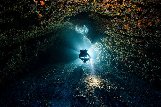 Terra X: Schätze unter Wasser - mit Florian Huber - Filmfotos