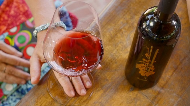 Milovníci vína - Série 2 - Bonsai vinice Illy - Filmfotos