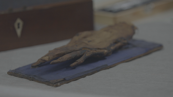 Cleopatra: The Mystery of the Mummified Hand - Photos
